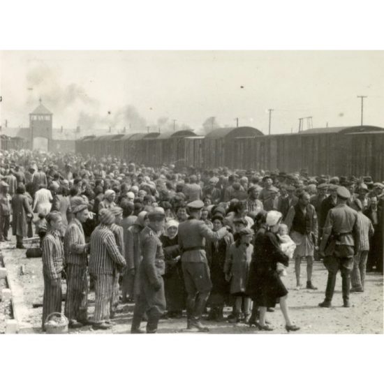 Au-delà de Birkenau 